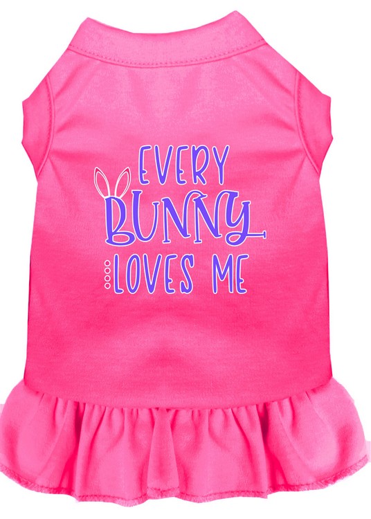 Every Bunny Loves me Screen Print Dog Dress Bright Pink XXXL